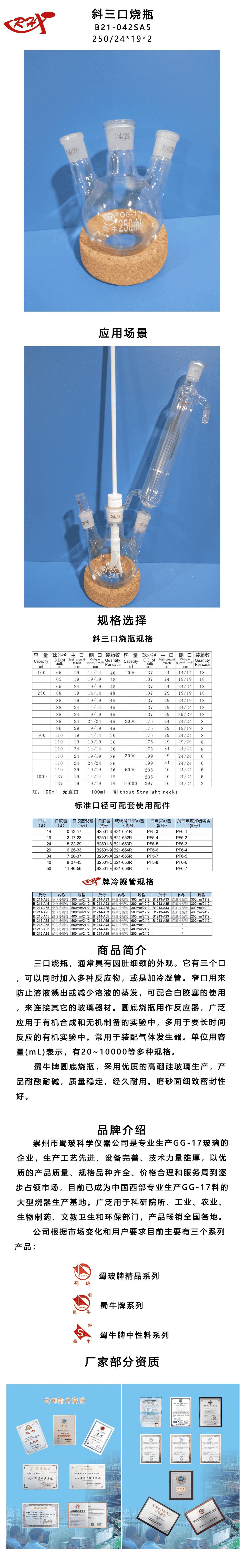 B21-042SA5.png