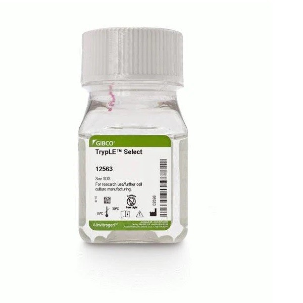 Gibco Gibco Gibco 胰酶替代物，TrypLE Select 酶 (1X)，无酚红 100ml 100ml