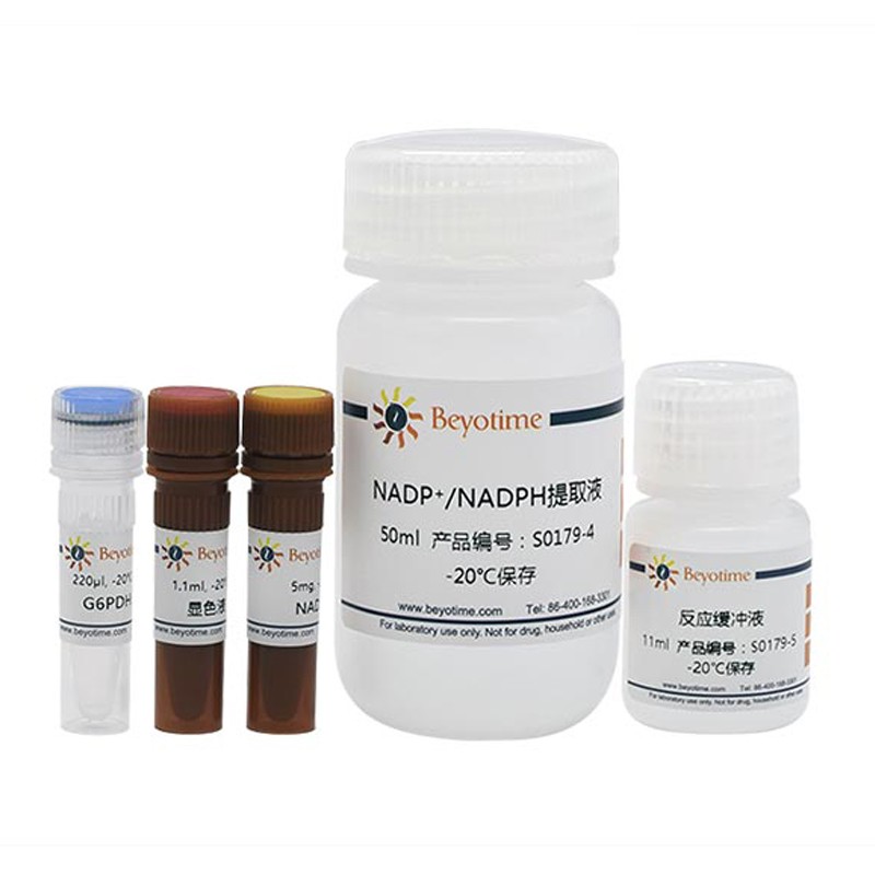 碧云天 碧云天 碧云天 NADP+/NADPH检测试剂盒(WST-8法) 100次 100次