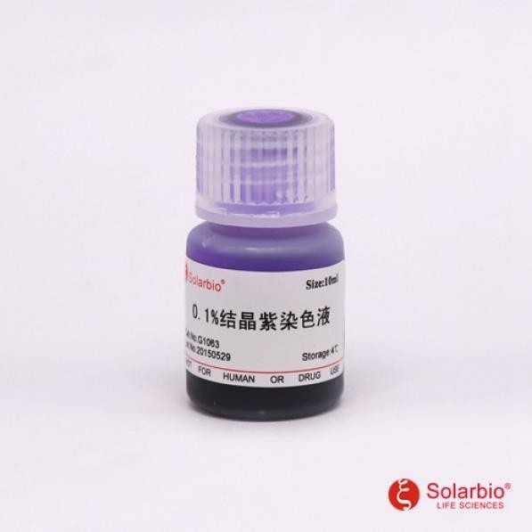 索莱宝 索莱宝 索莱宝 草酸铵结晶紫染色液（结晶紫染色液）（0.1%） 100ml 100ml