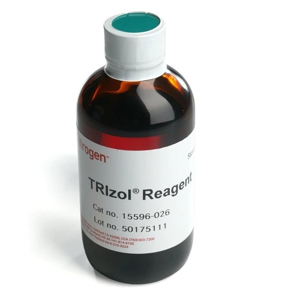 Invitrogen Invitrogen Invitrogen TRIzol Reagent RNA提取试剂 100ML 100ML