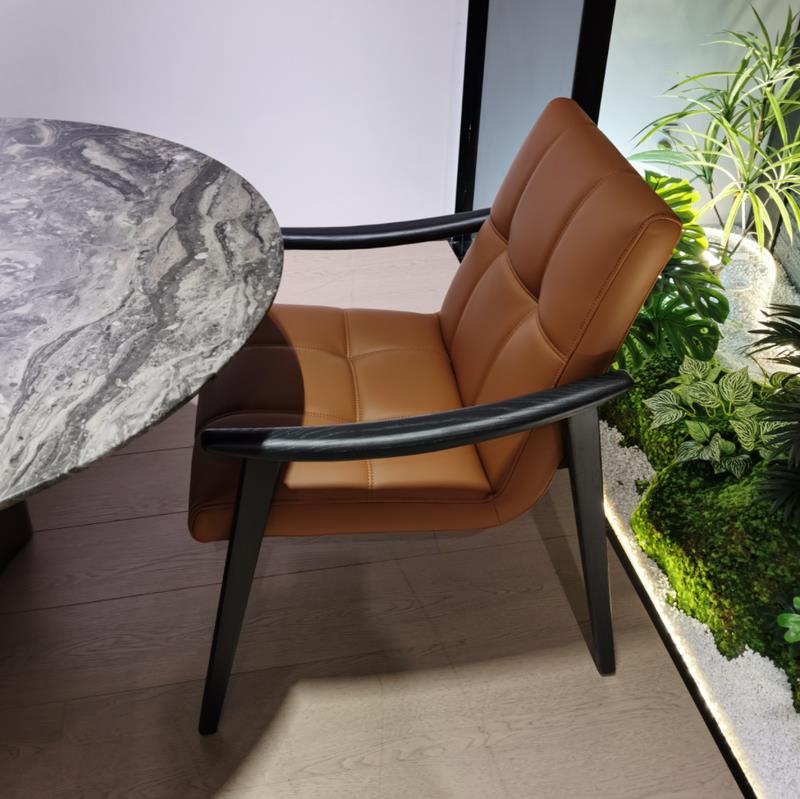 云比亚 云比亚 Minotti Fynn 硅胶皮餐椅  DY2933 64*70*87 DY2933 64*70*87 DY2933