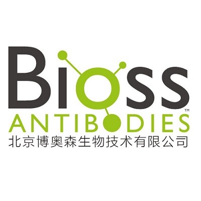 博奥森 博奥森 博奥森 蛋白Marker（10-310KD),BiosPM Rainbow Protein Marker(10-310KD),100ul 100ul 100ul
