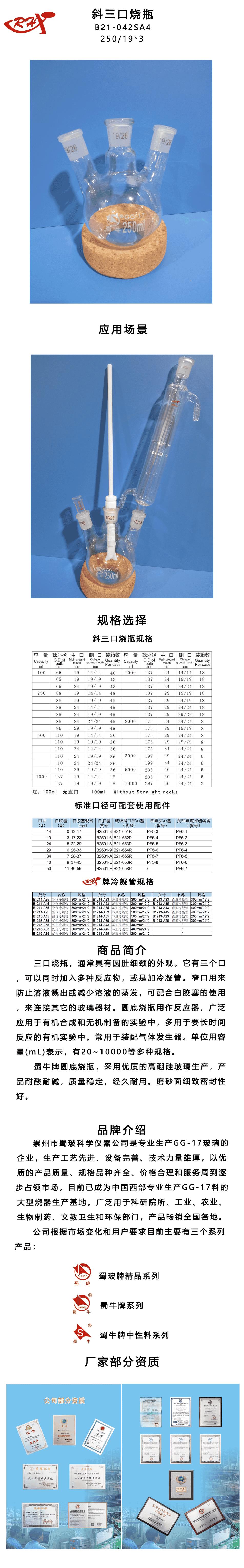 B21-042SA4.png