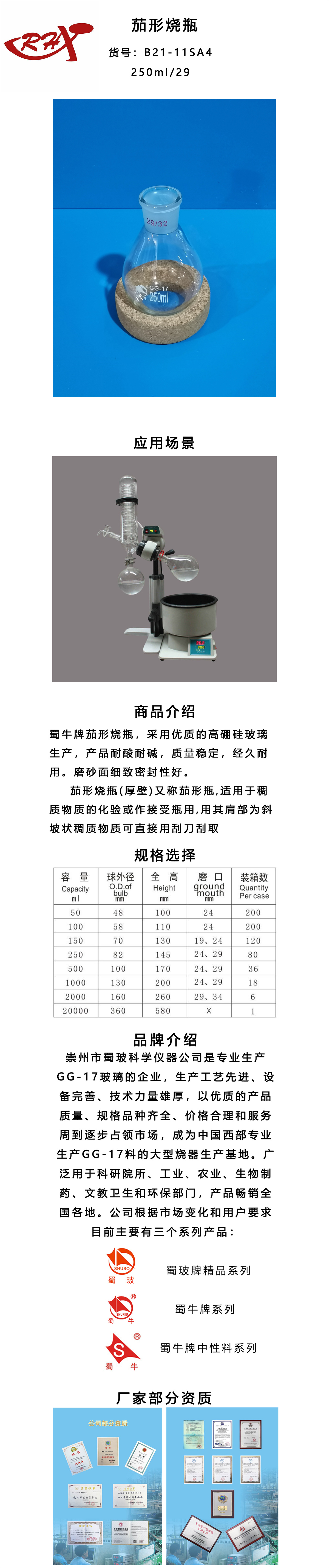 B21-11SA4.jpg
