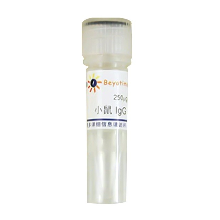 碧云天 碧云天 碧云天 小鼠IgG，250μg 250ug 250ug