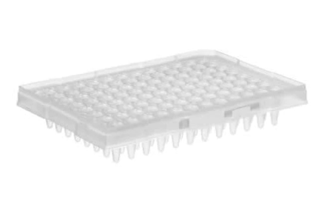 ThermoFisher ThermoFisher Thermo 96孔PCR板，MicroAmp Optical 96-Well Reaction Plate 10块/盒 10块/盒