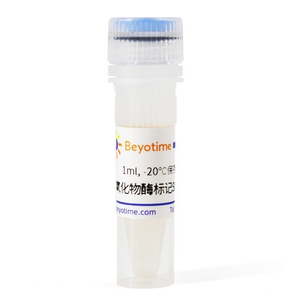 碧云天 碧云天 碧云天 辣根过氧化物酶标记Streptavidin 5ml 5ml