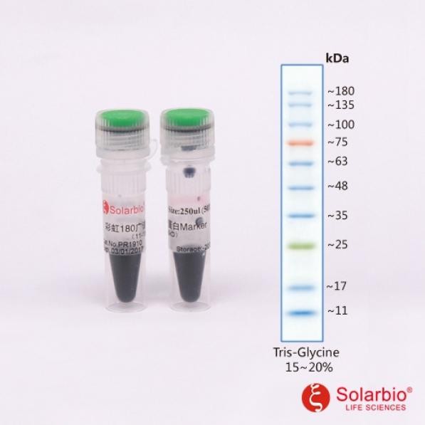 索莱宝 索莱宝 索莱宝 彩虹180广谱蛋白Marker（11-180KD)250ul（100T) 100T 100T