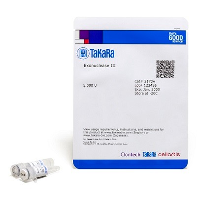 Takara Takara Exonuclease III 5000 U 5000 U