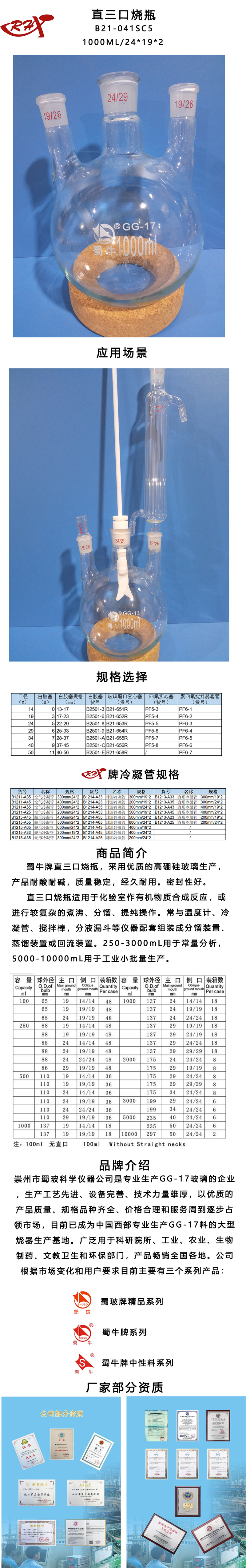 B21-041SC5.jpg