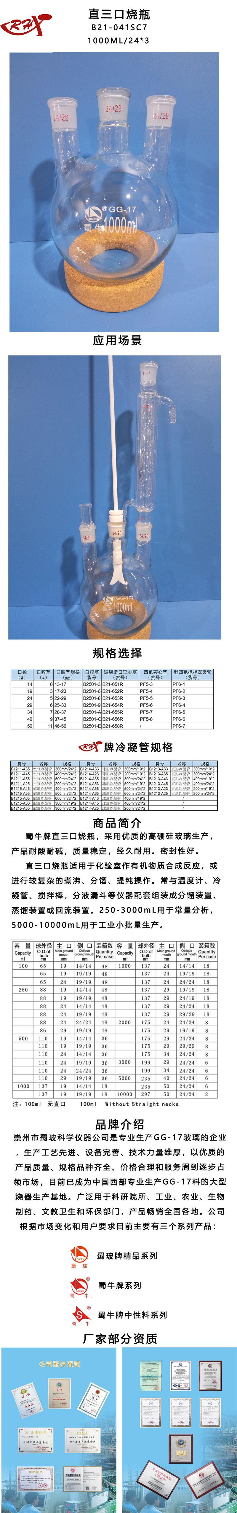 B21-041SC7.jpg
