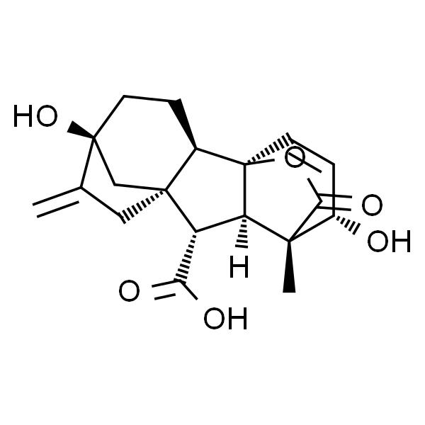 索莱宝 索莱宝 索莱宝 赤霉素GA3 标准品 250mg 250mg 250mg