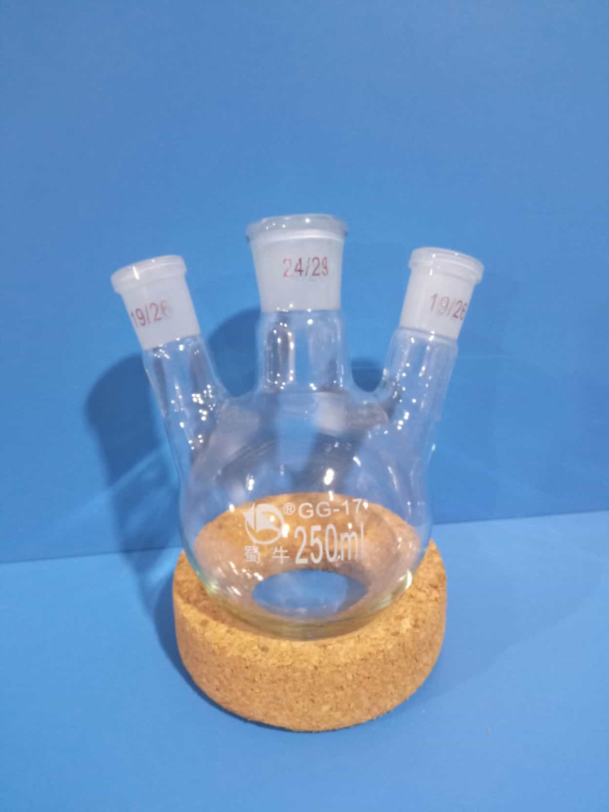 蜀牛 蜀牛 济南库 斜三口烧瓶 250/24*19*2 蜀牛 250/24*19*2  48只/箱 济南库 250/24*19*2  48只/箱 济南库