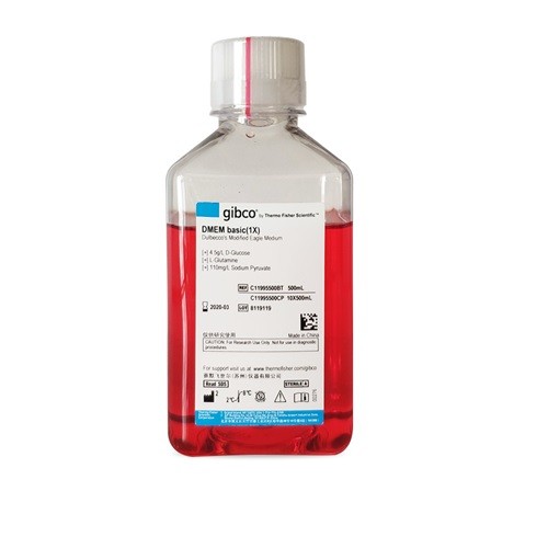 Gibco Gibco Gibco DMEM高糖，含谷氨酰胺，丙酮酸钠和酚红，无HEPES 500ML 500ML