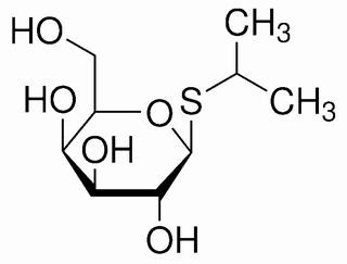 上海源叶 上海源叶 源叶 异丙基-β-D-硫代半乳糖苷 367-93-1 超纯，99% 5g 5g