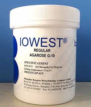 西班牙 西班牙 西班牙 琼脂糖 Agarose-G10（新） 100g 100g