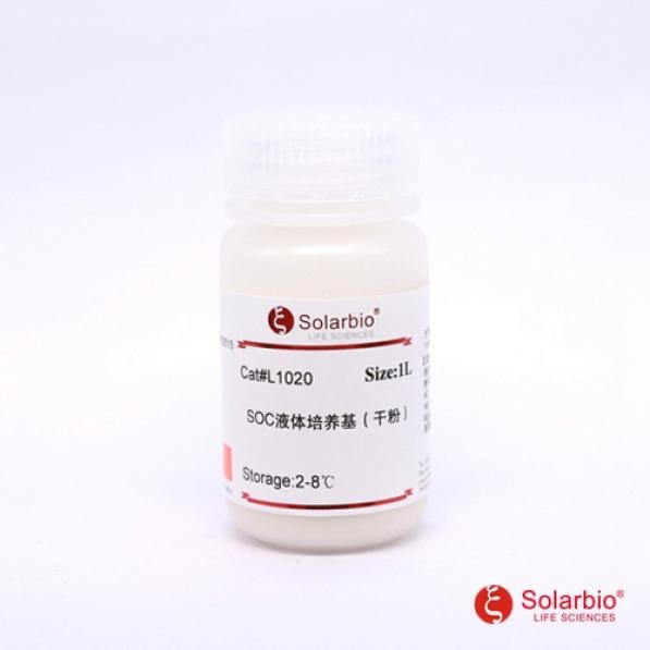 索莱宝 索莱宝 索莱宝 SOC液体培养基(干粉),1L 1L 1L