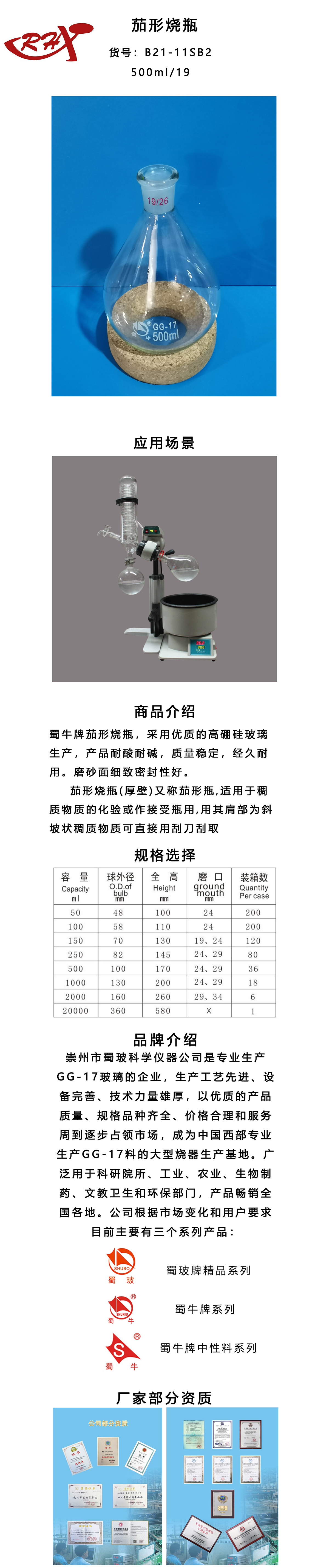 B21-11SB2.jpg