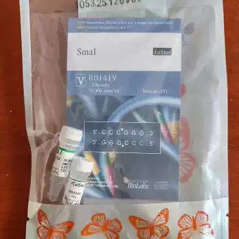 NEB NEB R0141V 内切酶SmaI 1000U 1000U