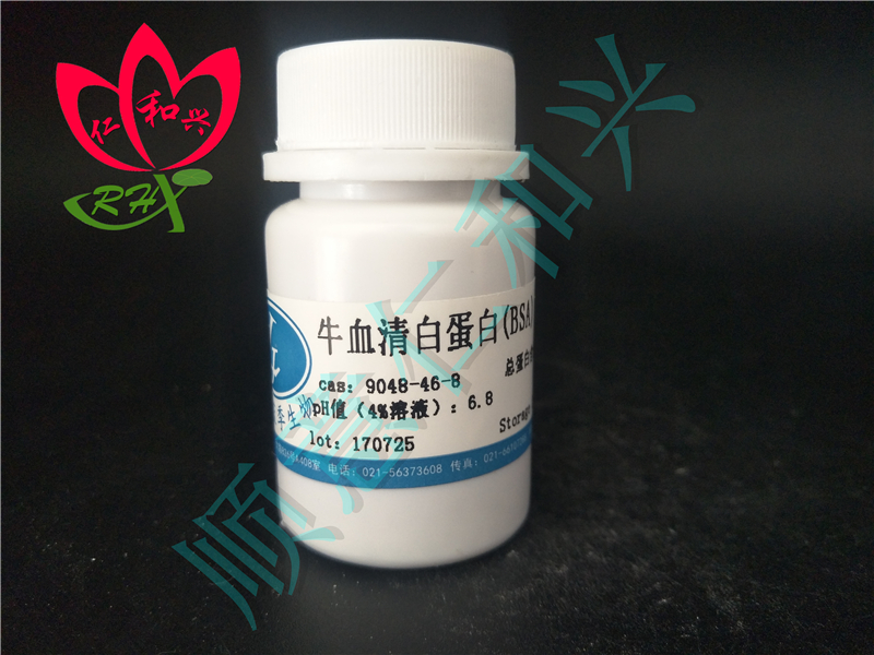 蓝季 LJ 蓝季 LJ 济南库 牛血清白蛋白 10G 蓝季 10G 10G