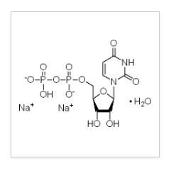 麦克林 麦克林 麦克林 尿苷-5'-二磷酸二钠盐水合物, ≥96.0% (HPLC) ;焦磷酸尿苷钠盐，100mg 100mg 100mg