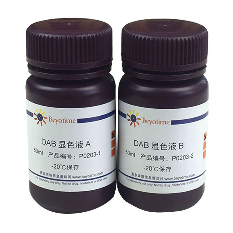 碧云天 碧云天 碧云天 DAB辣根过氧化物酶显色试剂盒 共100ml 共100ml