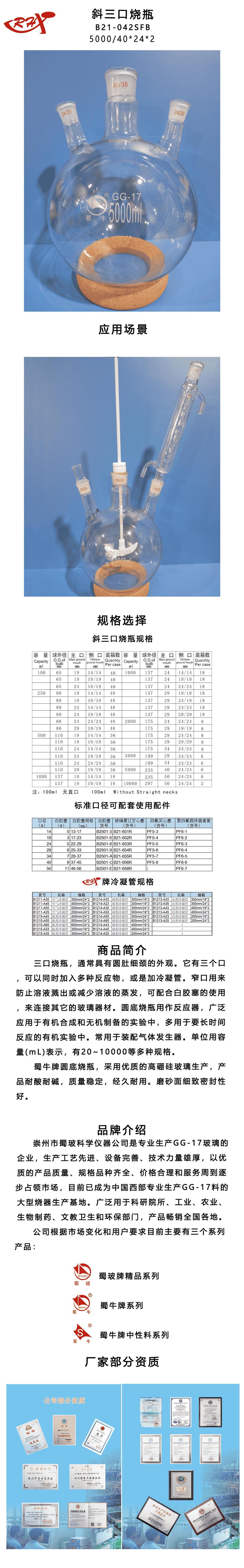 B21-042SFB.png