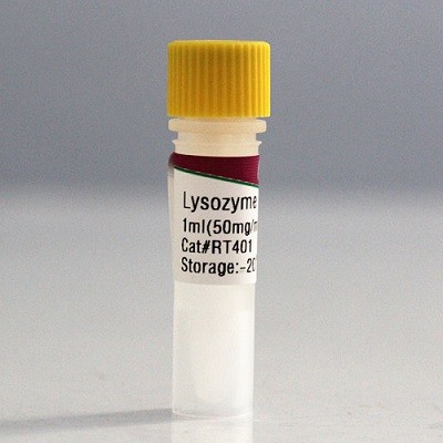 天根 天根 RT401，Lysozyme(50 mg/ml)，溶菌酶溶液 1ml 1ml