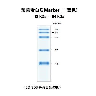 天根 天根 MP204，预染蛋白质MarkerIII(蓝色) 20次 20次