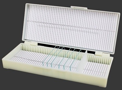 Cometbioscience Cometbioscience 50片玻片盒 载玻片盒 切片盒 塑料材质 1个/包 1个/包