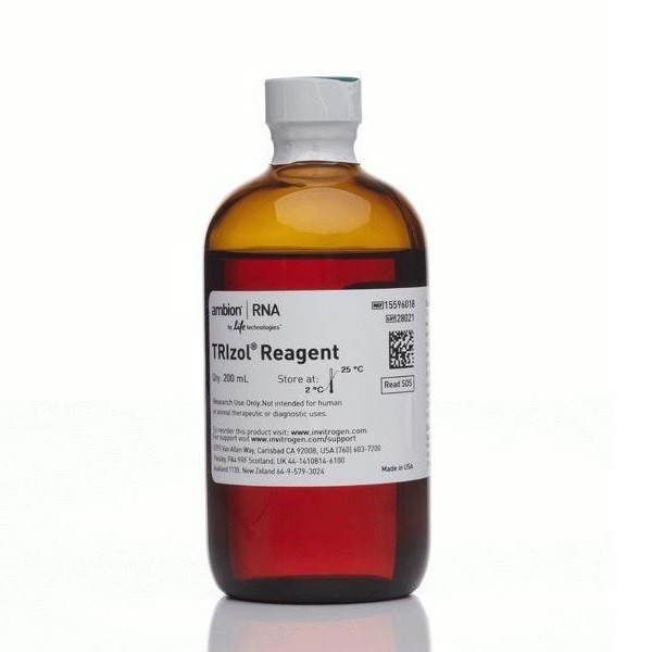 Invitrogen Invitrogen Invitrogen TRIzol Reagent RNA提取试剂，200ml 200ml 200ml