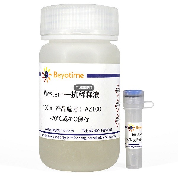 碧云天 碧云天 碧云天 HA Tag Rabbit Polyclonal Antibody 100ul 100ul