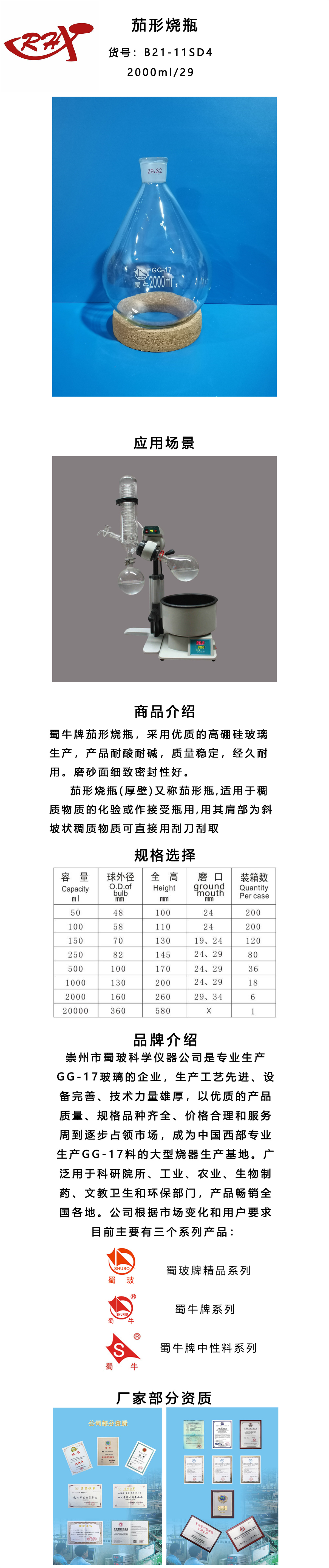 B21-11SD4.jpg