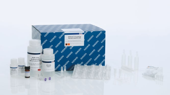 Qiagen Qiagen Qiagen QIAamp Circulating Nucleic Acid Kit，50T 50次 50次
