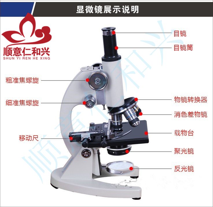 青岛库  显微镜  单目1600倍  电光源  超高性价比 （选配电子目镜更强大） 单目1600倍 青岛库 单目1600倍 青岛库