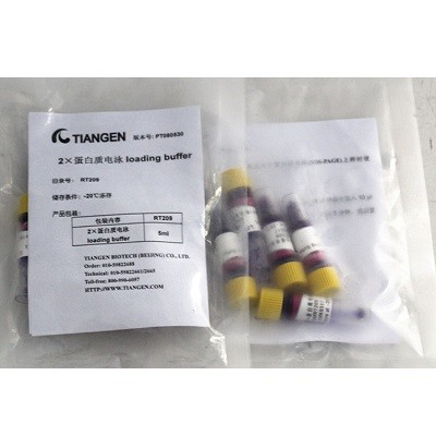 天根 天根 RT209，2×蛋白质电泳上样缓冲液 5ml 5ml