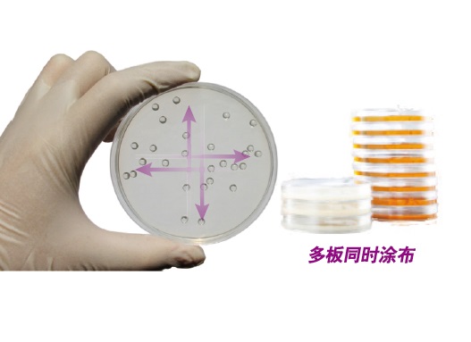 涂布玻璃珠GB101.jpg