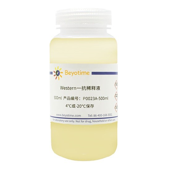 碧云天 碧云天 碧云天 Western一抗稀释液 500ml 500ml