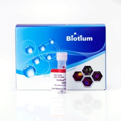 Biotium Biotium Biotium 10000* GelRed核酸染料，EB替代,EB代替，溴化乙锭替代品 0.5ml 0.5ml