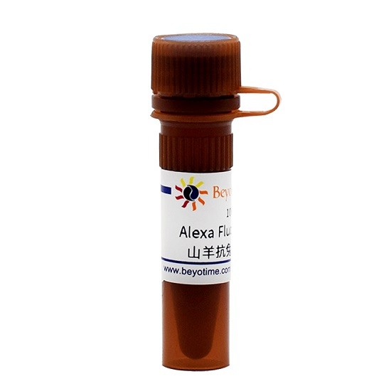 碧云天 碧云天 碧云天 Alexa Fluor 488标记山羊抗兔IgG(H+L) 100ul 100ul