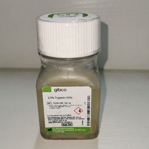 Gibco Gibco Gibco 胰酶2.5%，无酚红，无钙镁、EDTA，10倍浓缩液 100ml 100ml