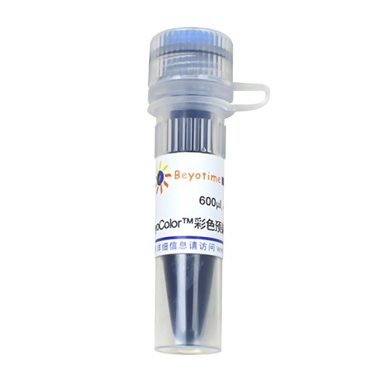 碧云天 碧云天 碧云天 BeyoColor 彩色预染蛋白分子量标准(15-120kD) 600ul 600ul
