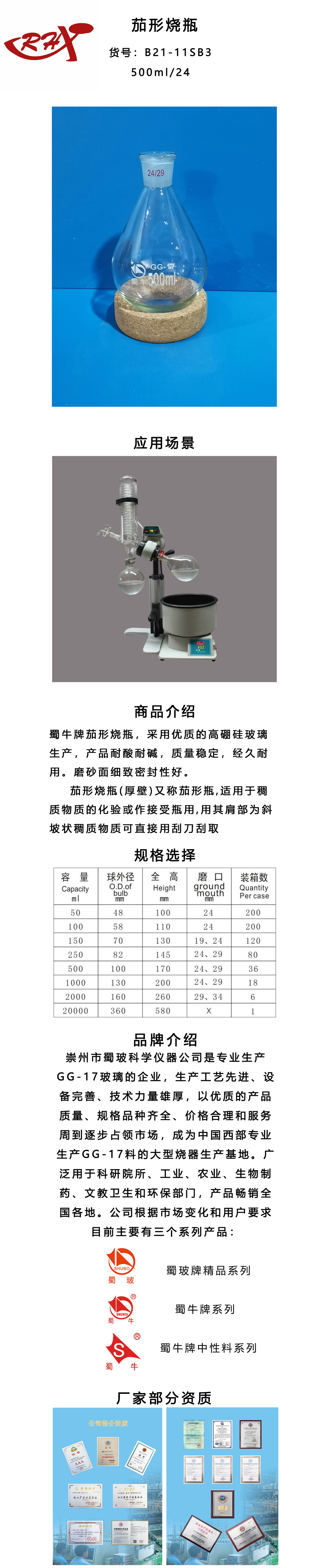 B21-11SB3.jpg