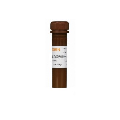 其他 其他 上海翊圣 ER-Tracker Red (BODIPY TR Glibenclamide), for live-cell imaging 内质网红色荧光探针（活细胞） 20ul 20ul